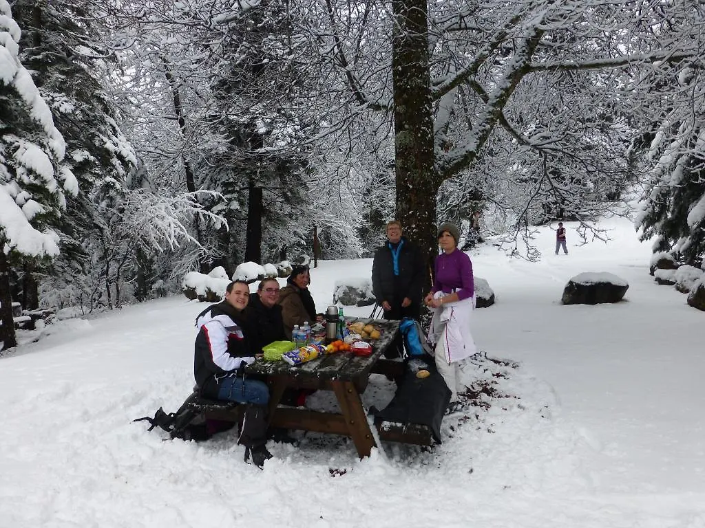 Camping, Hôtel De Plein Air Les Cariamas Châteauroux-les-Alpes 3*,  France